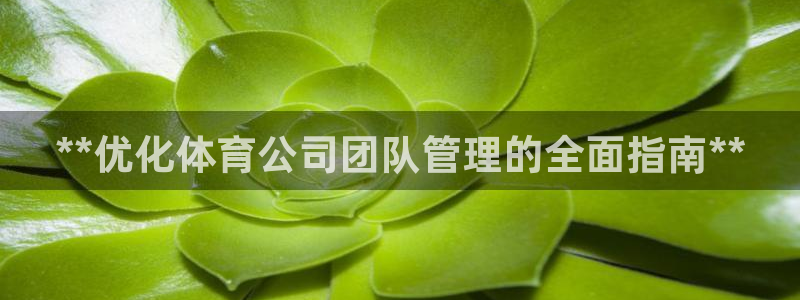 必一体育网站：**优