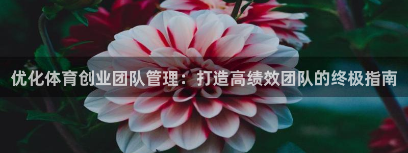必一运动 b 体育素