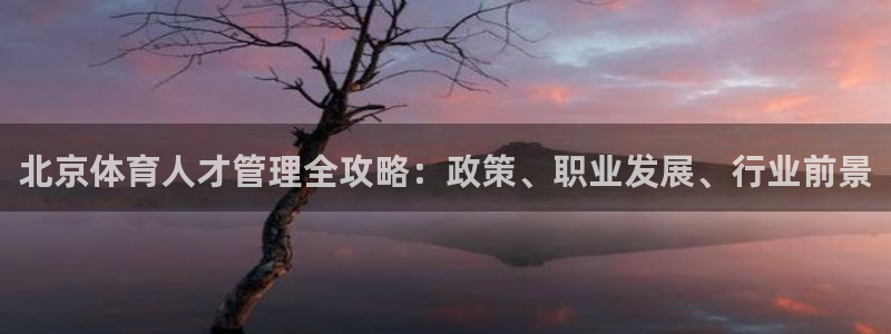 氵必一一厂一：北京体