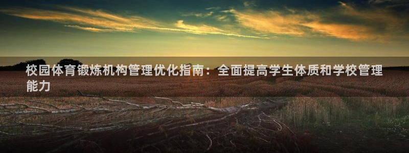 必一体育官方app下