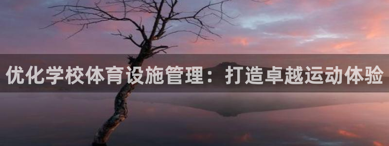 必一体育官方app下载：优化学校体育设施管理：打造卓越运动体