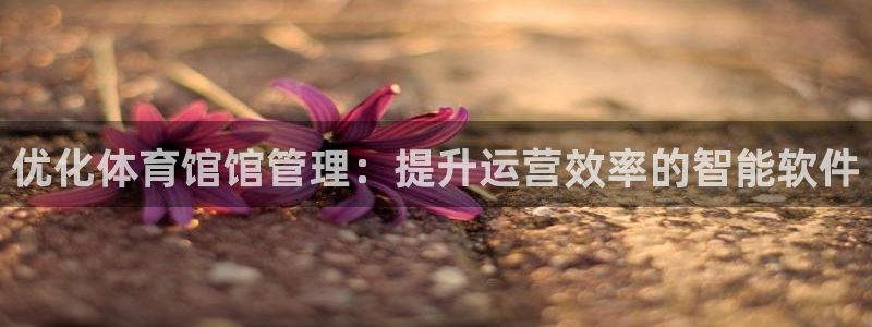 必一体育登陆：优化体