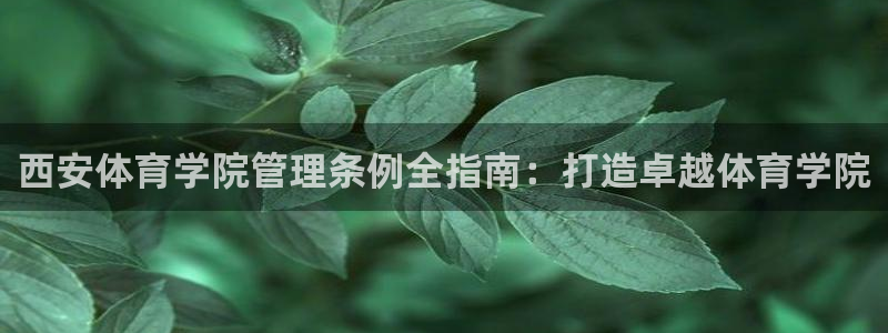 必一运动tieba.