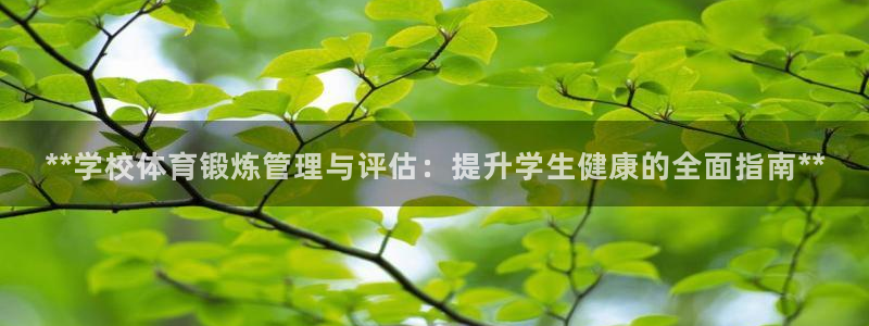 必一运动官网：**学
