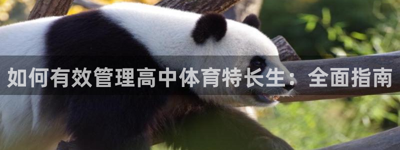必一体育官方下载：如