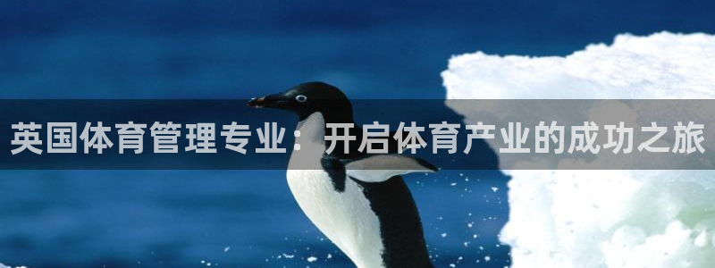 必一体育运动app：