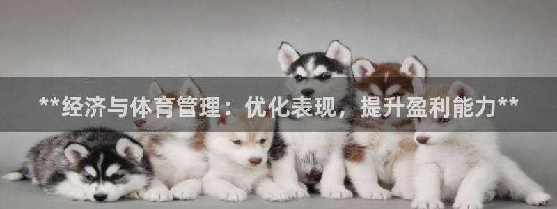 必一体育登入：**经