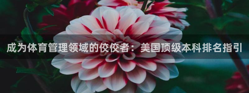 必一体育全站在线登录