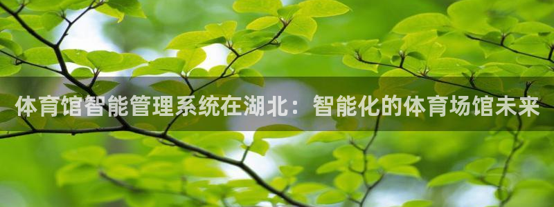 必一体育app官方正