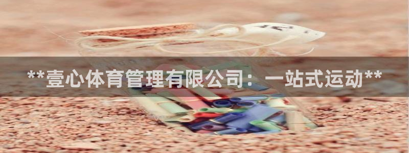 必一体育app下载装机吧：**壹心体育管理有限公司：一站式运