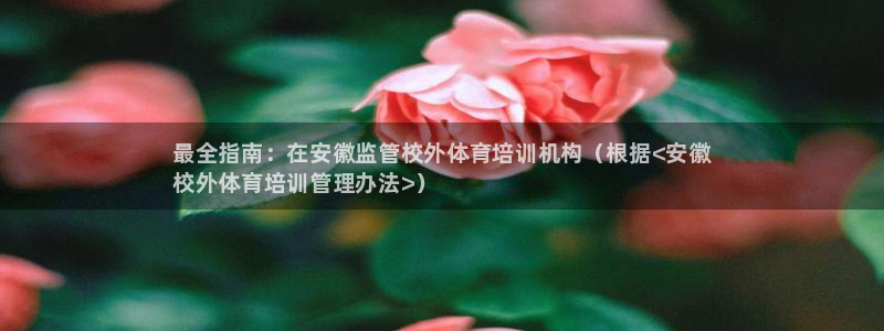 必一体育网页登陆：最