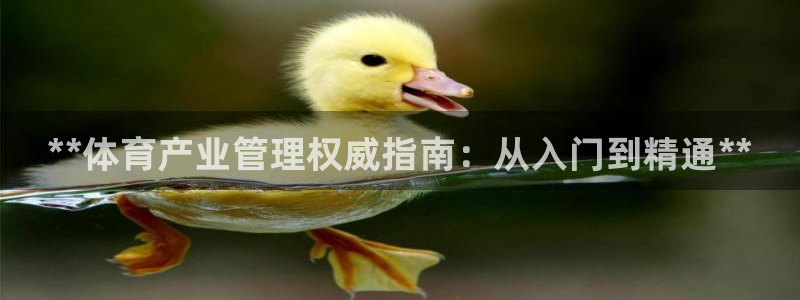 必一运动·(B-Sp