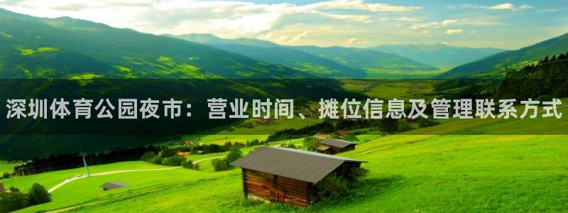 必一体育bsport下载：深圳体育公园夜市：营业时间、摊位信